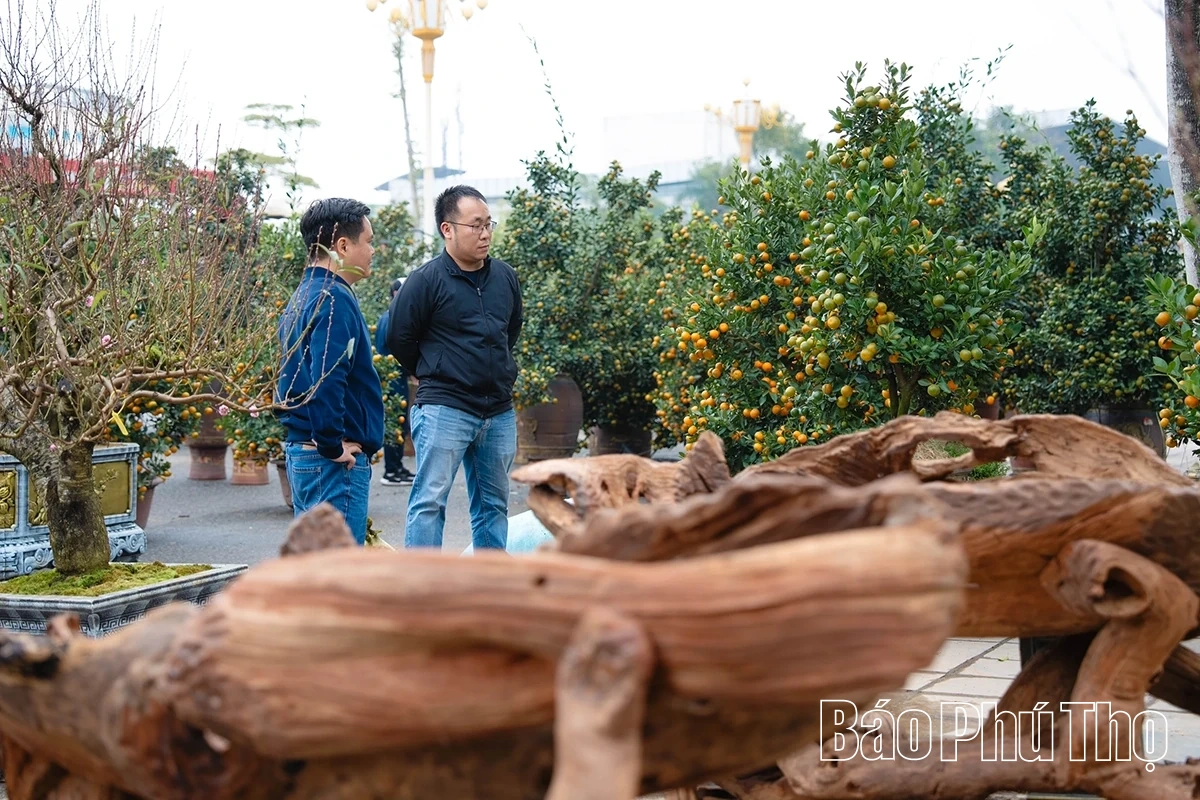 Rộn ràng thị trường hoa Tết