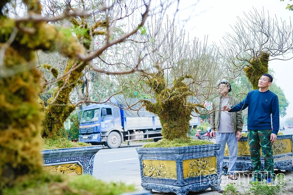 Rộn ràng thị trường hoa Tết