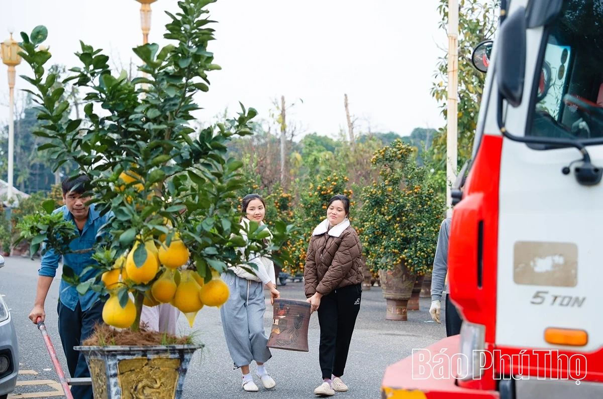 Rộn ràng thị trường hoa Tết