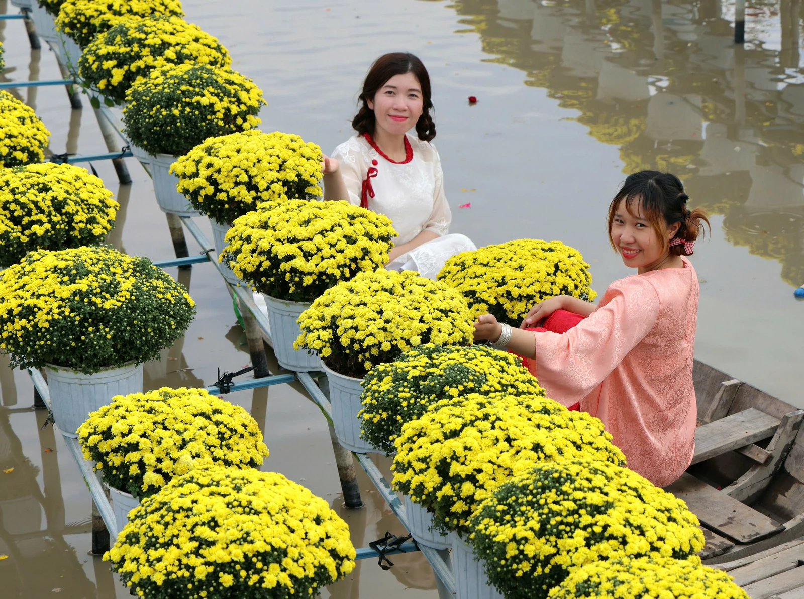 Biến vườn hoa kiểng thành điểm check-in, nông dân Sa Đéc thu tiền triệu mỗi ngày