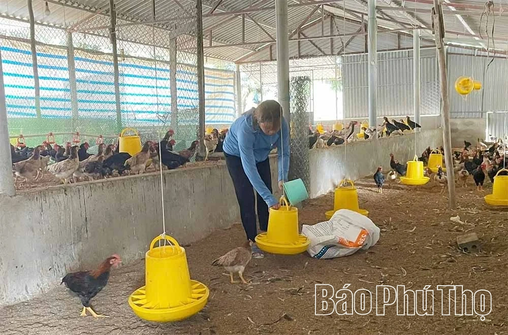 Hướng đi bền vững cho kinh tế trang trại