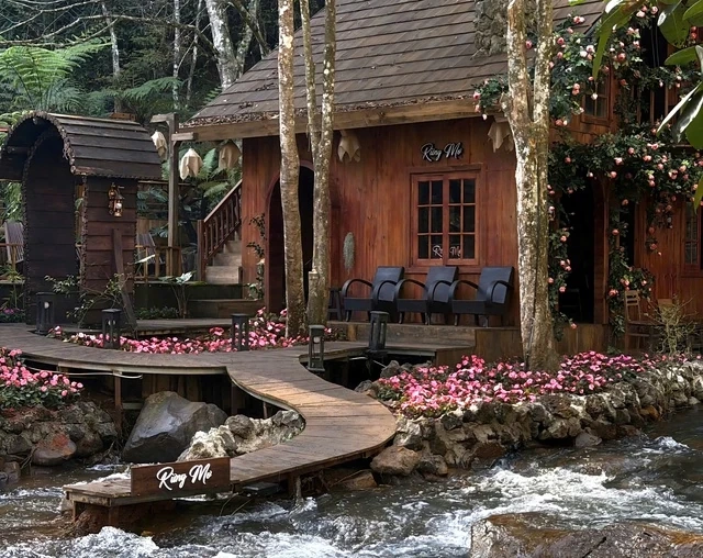 Hấp dẫn... Rừng Mơ