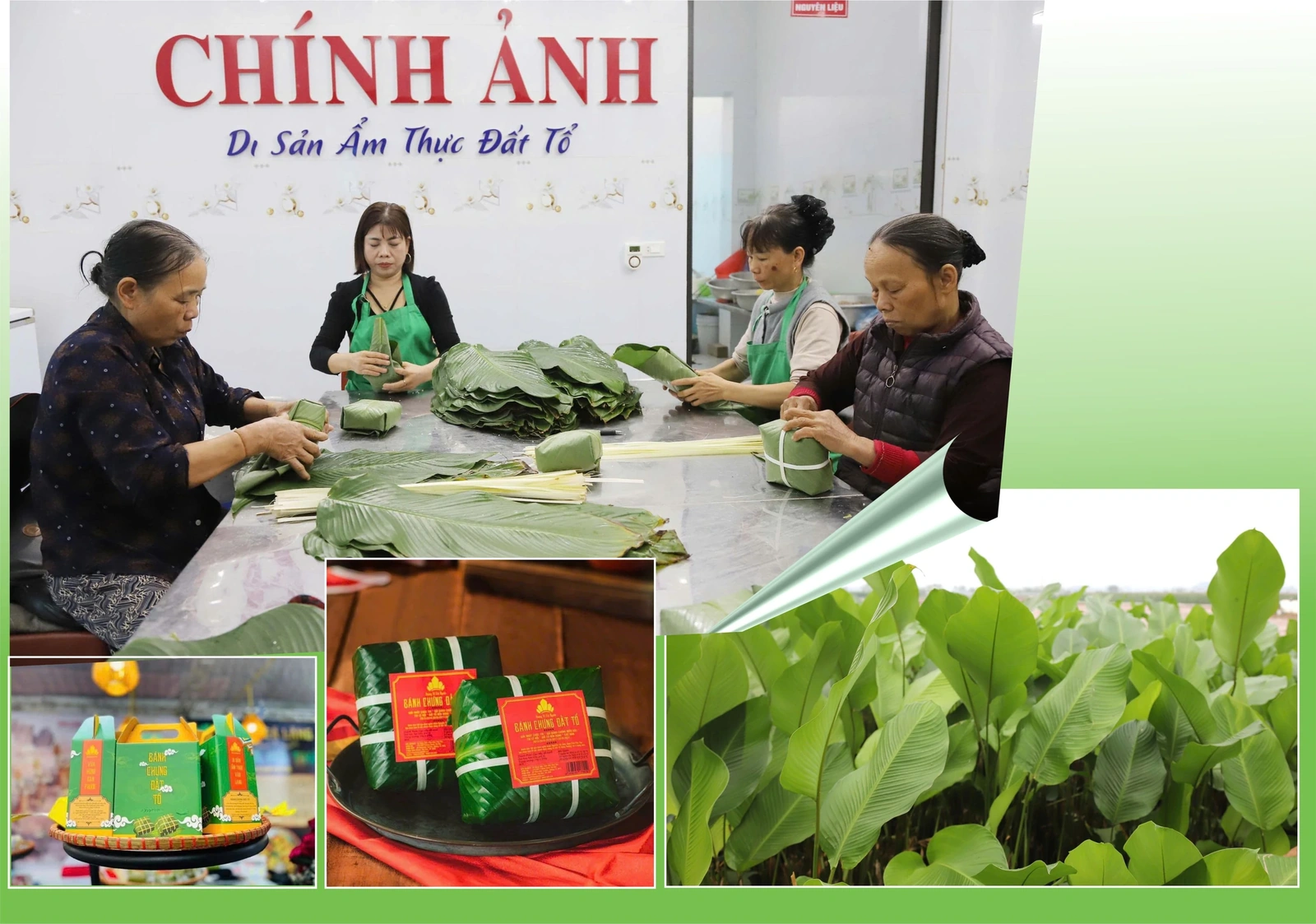 Rộn ràng làng bánh chưng vào Tết