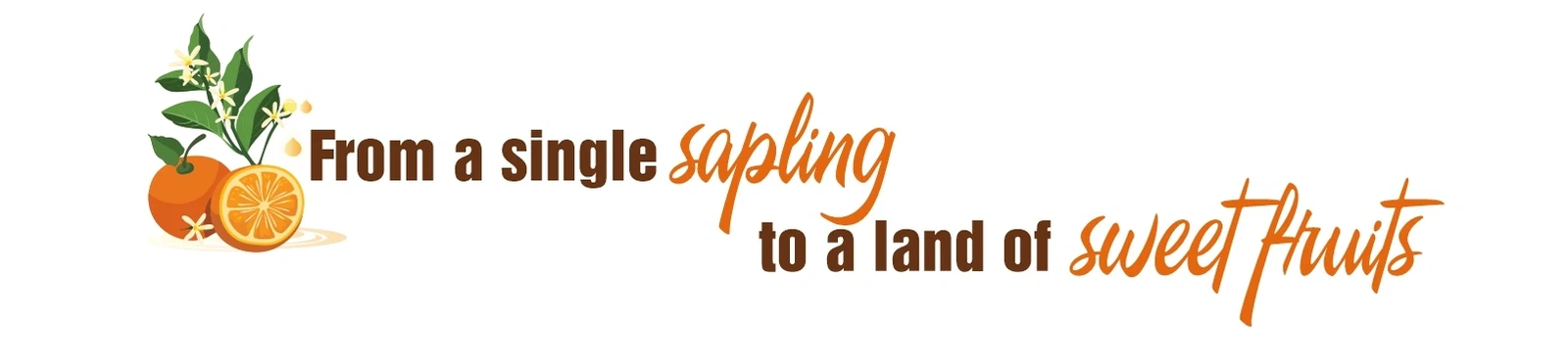 Sweetness from the Windy Land