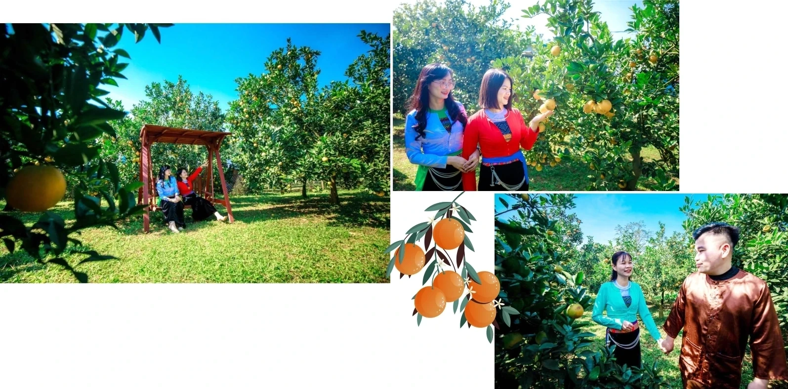 Sweetness from the Windy Land