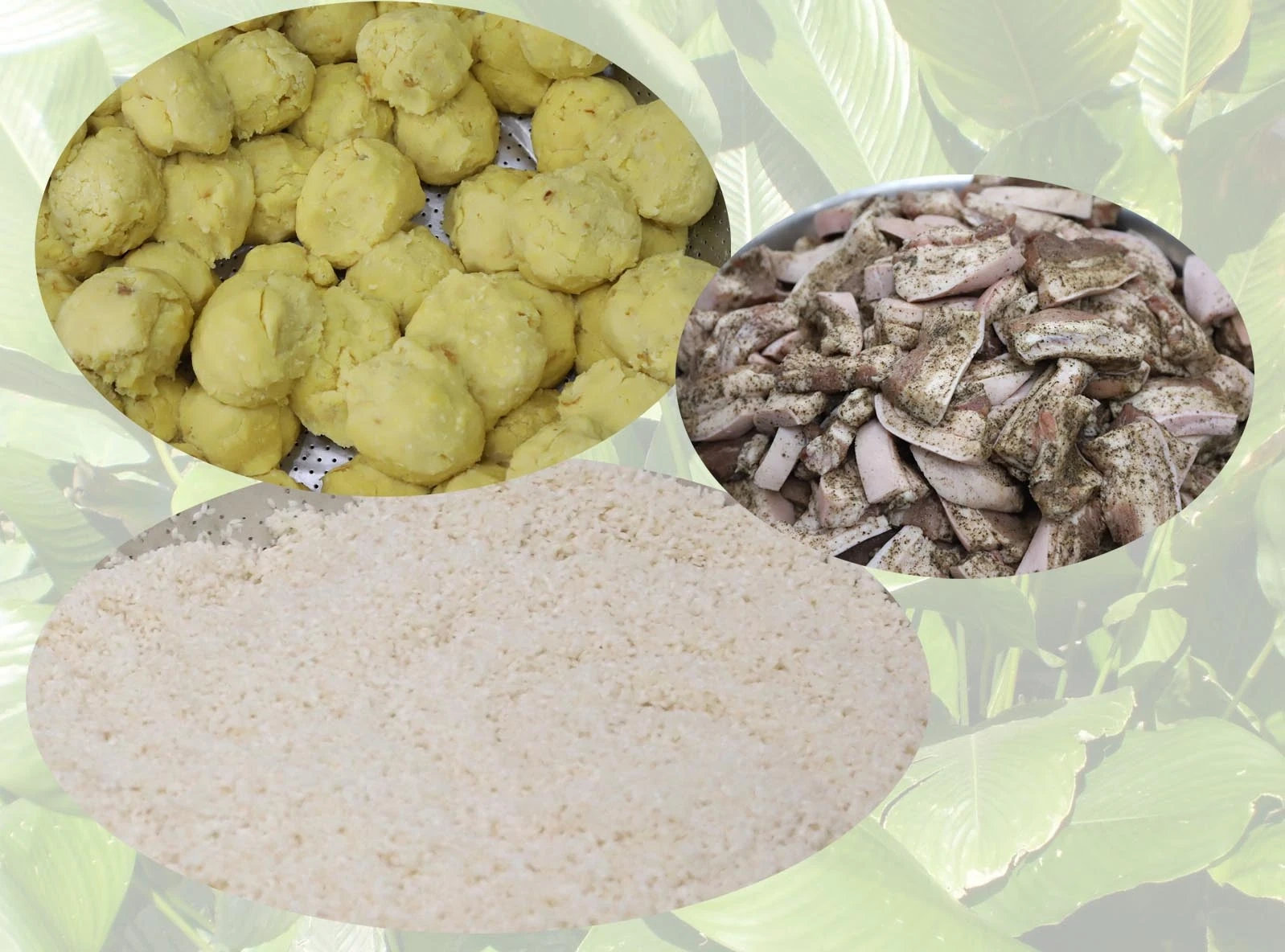 Rộn ràng làng bánh chưng vào Tết