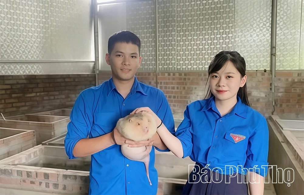 Hỗ trợ hội viên nông dân phát triển kinh tế