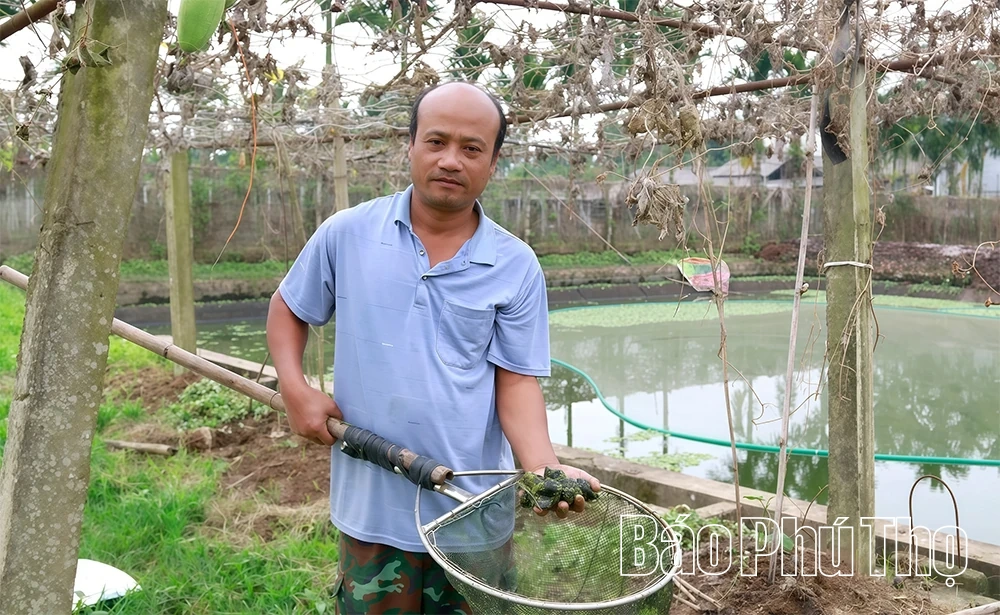 Hỗ trợ hội viên nông dân phát triển kinh tế