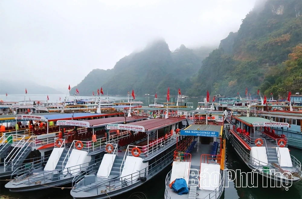 Early Spring Pilgrimage to Thac Bo Goddess Temple