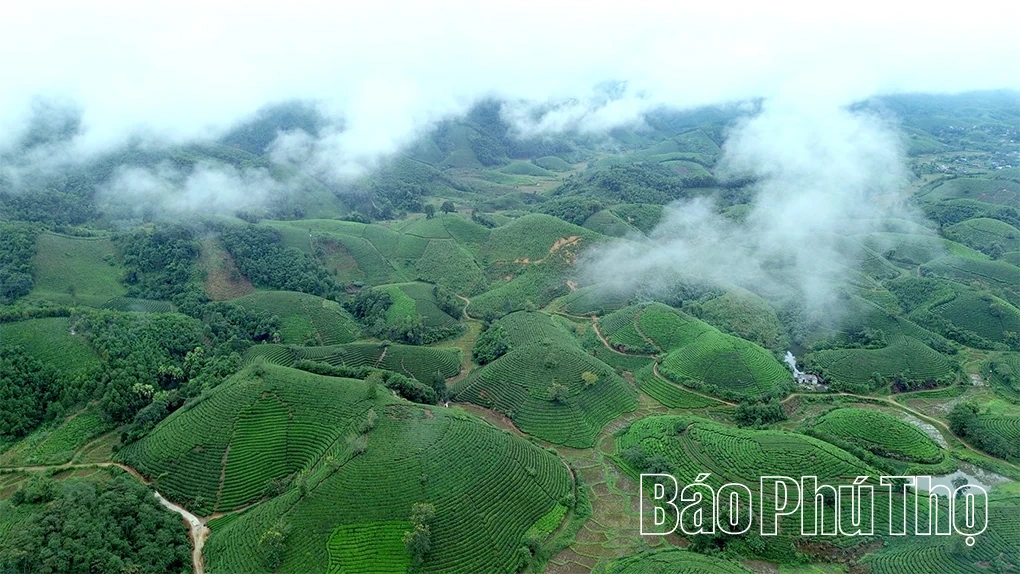 Ươm mầm cho mạch sống sinh sôi