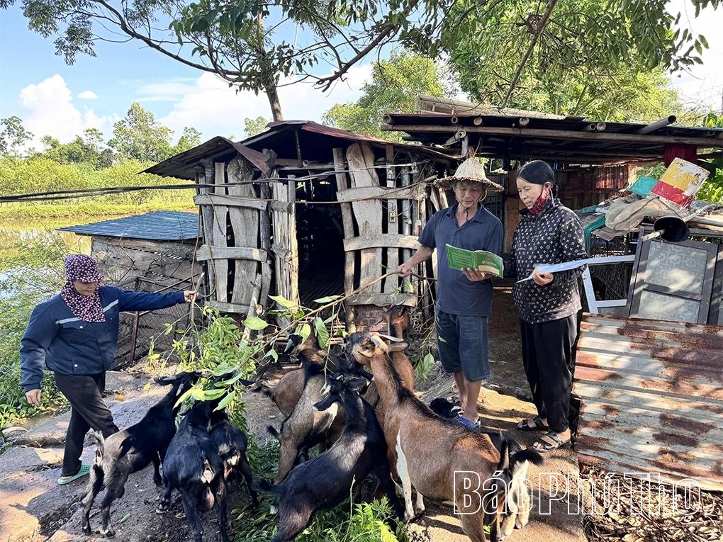 “Trụ cột” trên hành trình giảm nghèo