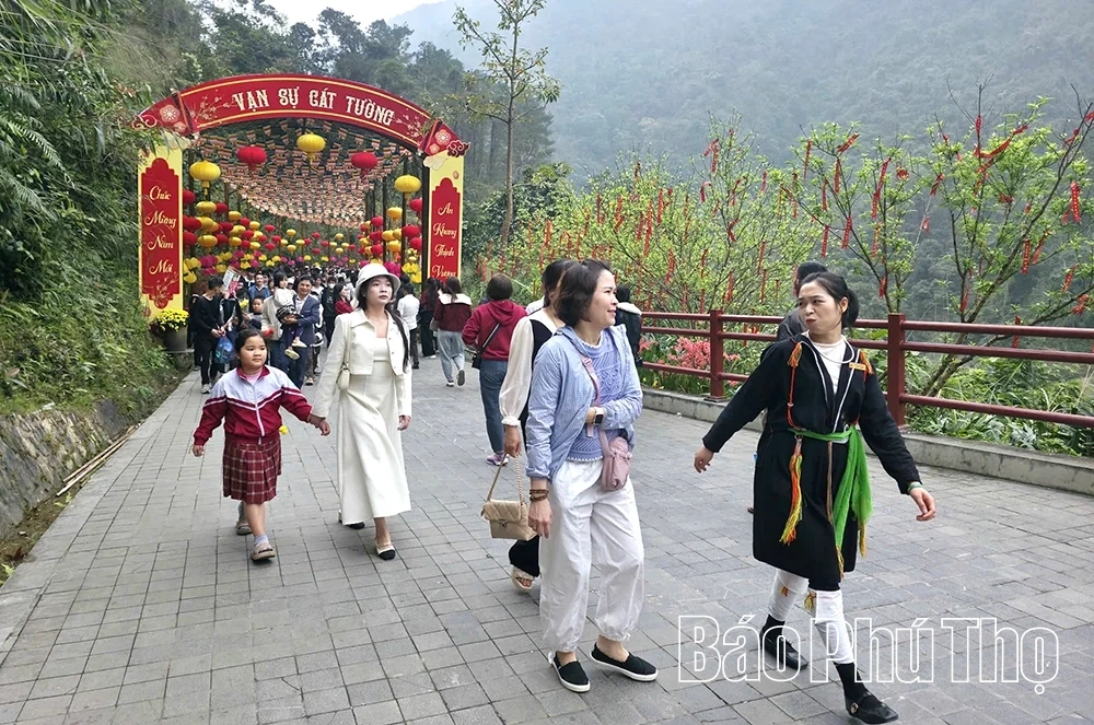 Tây Thiên: Hành trình chạm vào mây ngàn và cõi tịnh