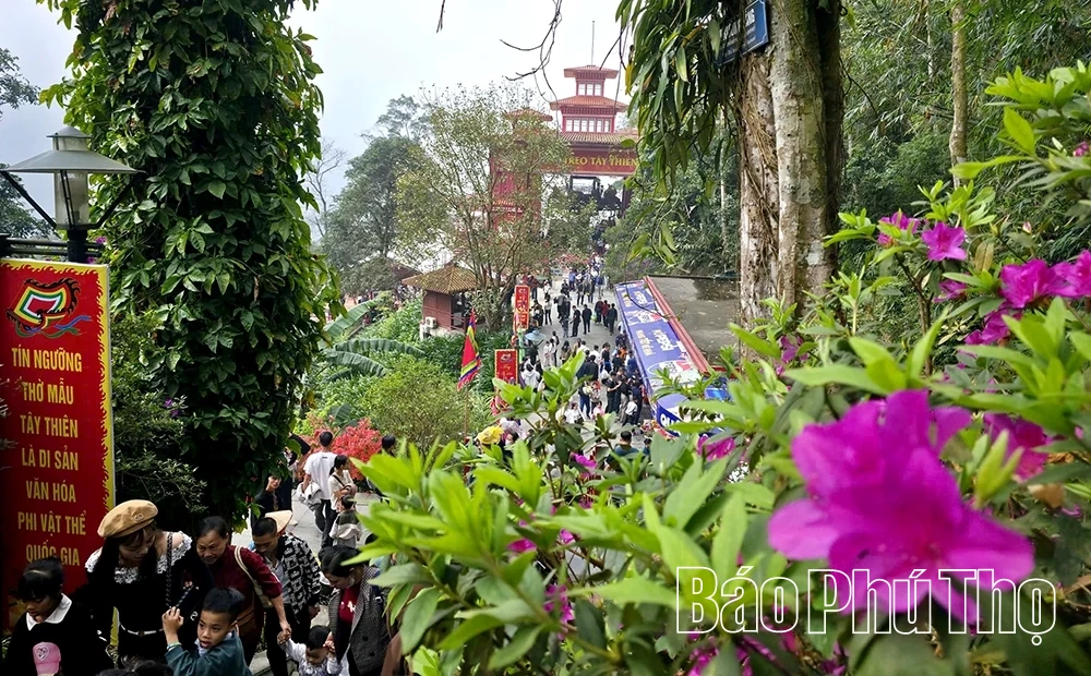 Tây Thiên: Hành trình chạm vào mây ngàn và cõi tịnh