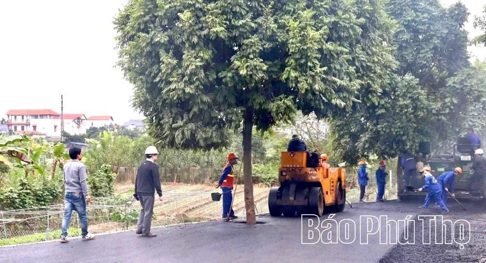 Xây dựng Đảng vững mạnh - Nền tảng phát triển ở Vĩnh An