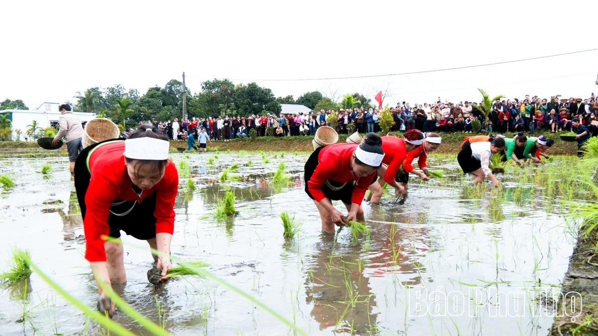 Rộn ràng khí thế lao động sản xuất nông nghiệp đầu Xuân mới