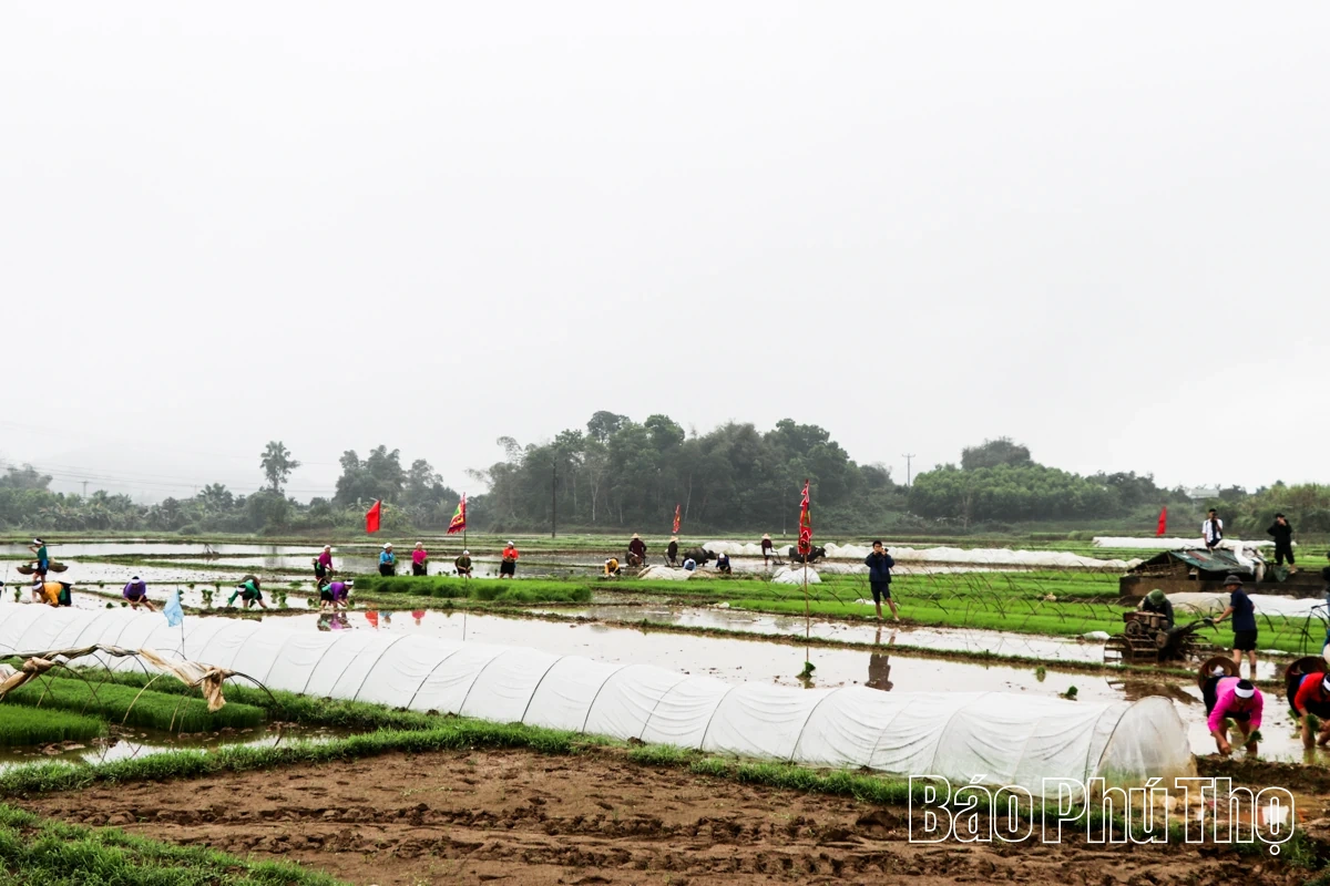 Rộn ràng khí thế lao động sản xuất nông nghiệp đầu Xuân mới