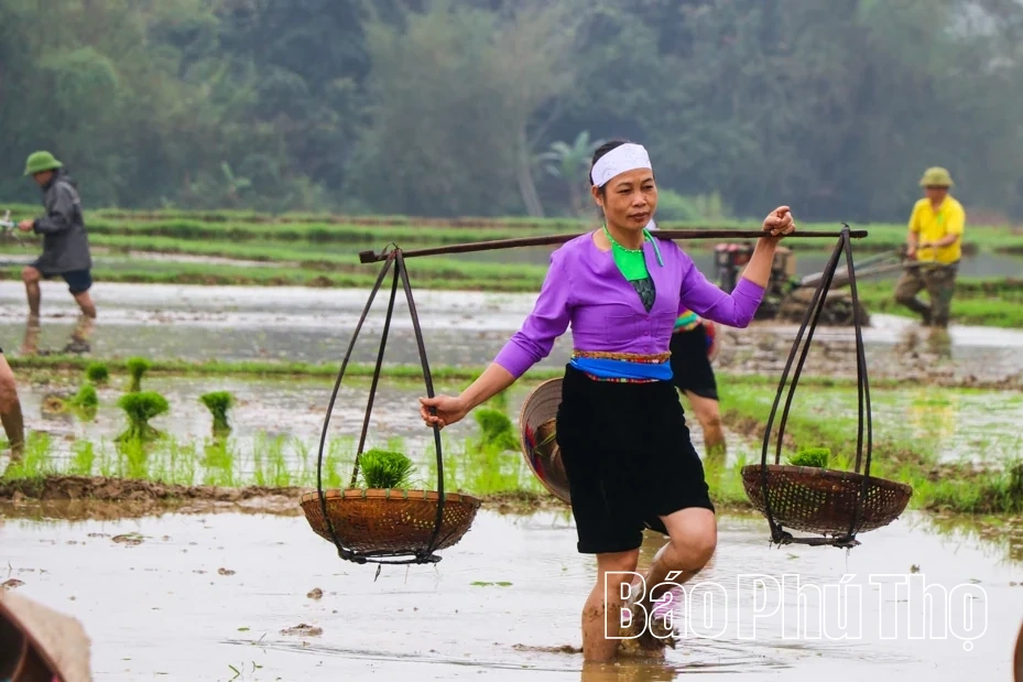 Rộn ràng khí thế lao động sản xuất nông nghiệp đầu Xuân mới