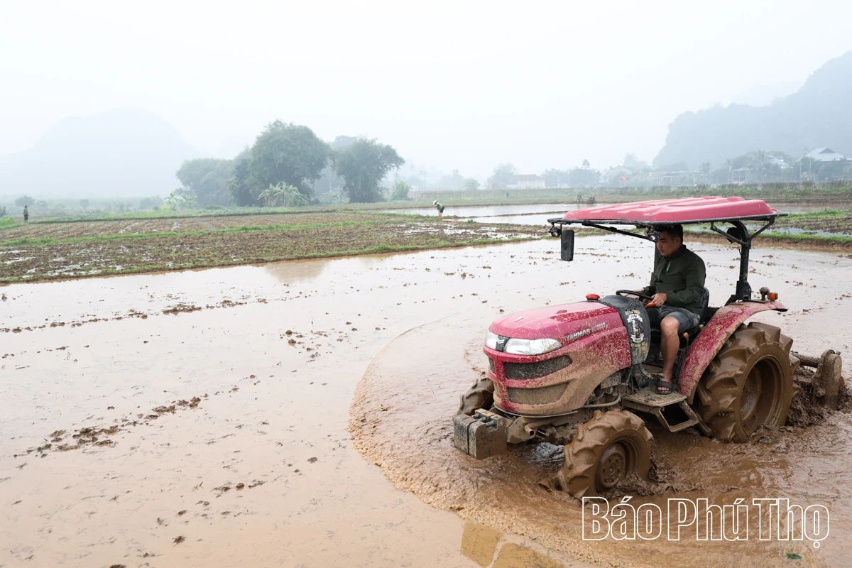 Rộn ràng khí thế lao động sản xuất nông nghiệp đầu Xuân mới