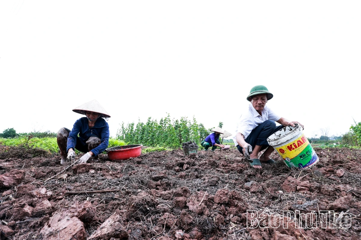 Rộn ràng khí thế lao động sản xuất nông nghiệp đầu Xuân mới