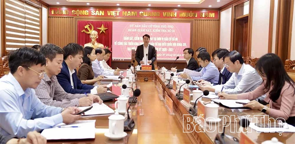 Giám sát, kiểm tra công tác bầu cử tại đơn vị bầu cử số 9