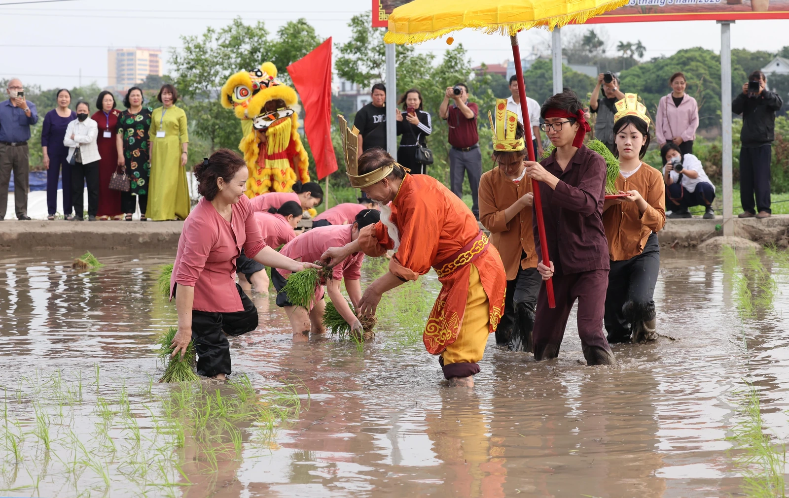 Lễ hội Vua Hùng dạy dân cấy lúa - Khai sáng nghề nông