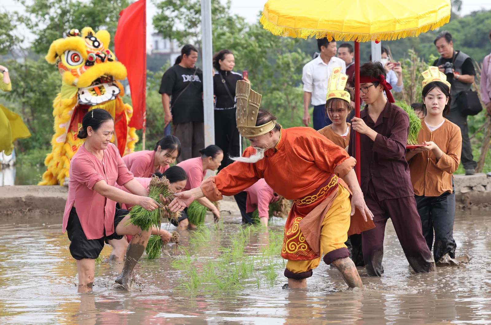 Lễ hội Vua Hùng dạy dân cấy lúa - Khai sáng nghề nông