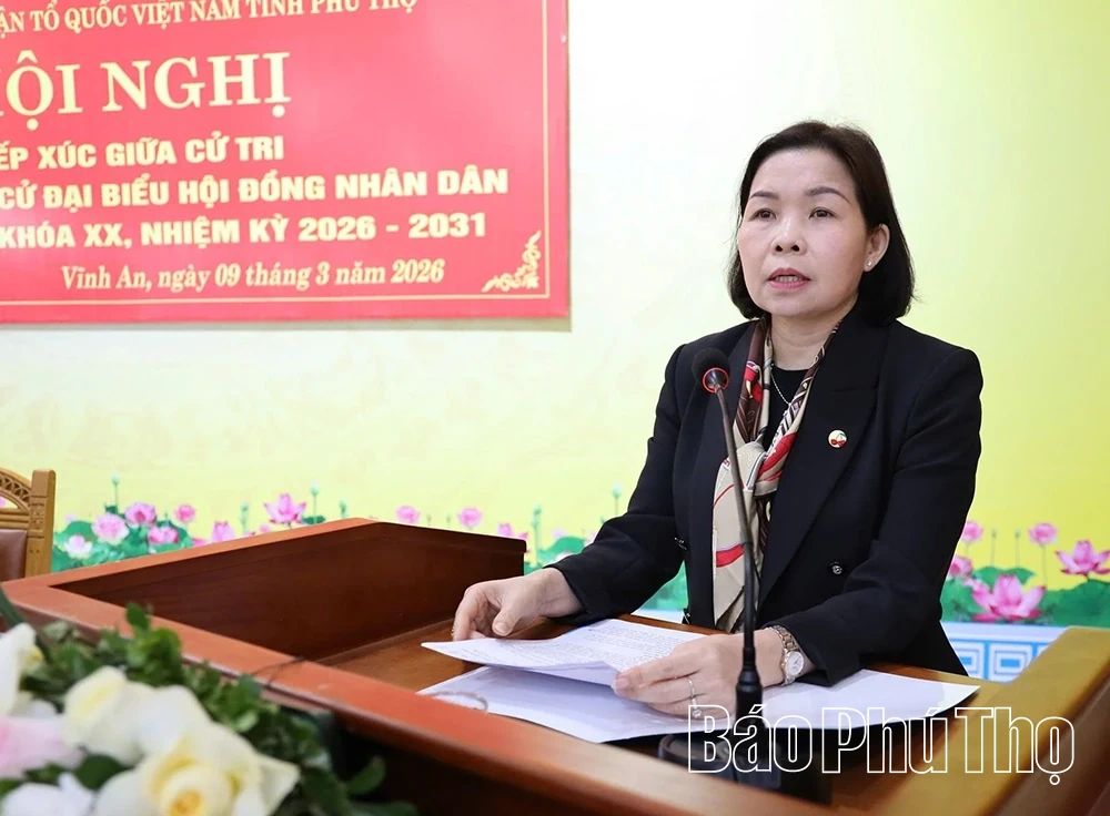 Ứng cử viên đại biểu HĐND tỉnh tiếp xúc cử tri xã Vĩnh An