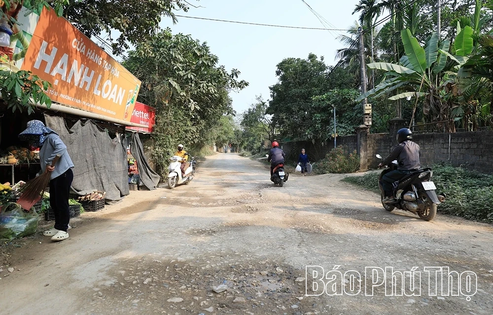 Cấp thiết đẩy nhanh tiến độ hoàn thành thi công tỉnh lộ 445