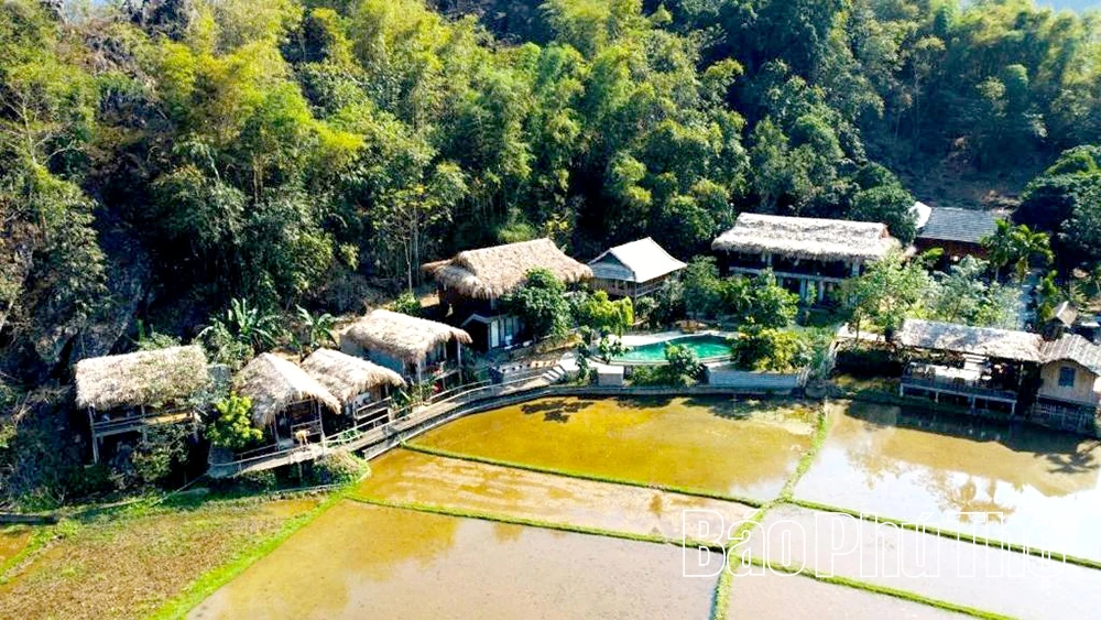 Hành trình trở thành chủ homestay Little Mai Châu