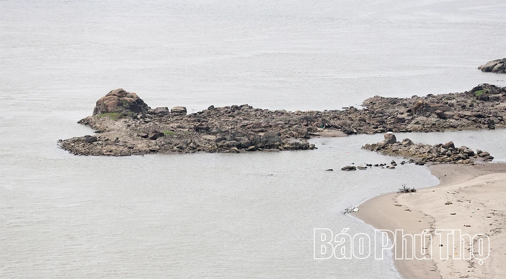 Sông Hồng trơ đáy, vận tải gặp khó khăn