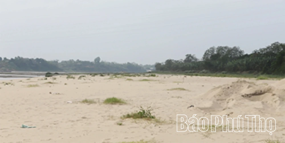 Sông Hồng trơ đáy, vận tải gặp khó khăn