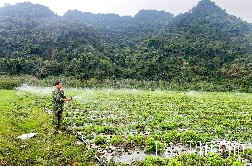 Ứng dụng khoa học kỹ thuật vào sản xuất, nâng tầm nông sản