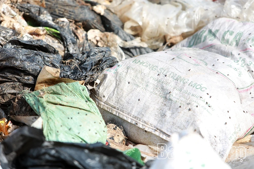 Kiên quyết xử lý dứt điểm tình trạng ô nhiễm từ bãi rác Cặm Cõ