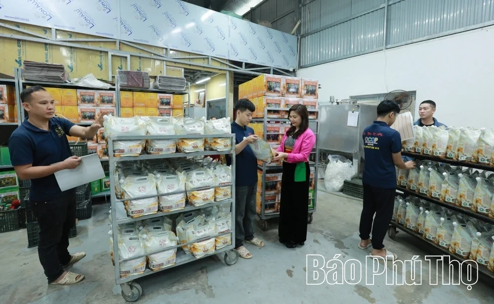 The Essence of Thuy Thuong in Muong Land