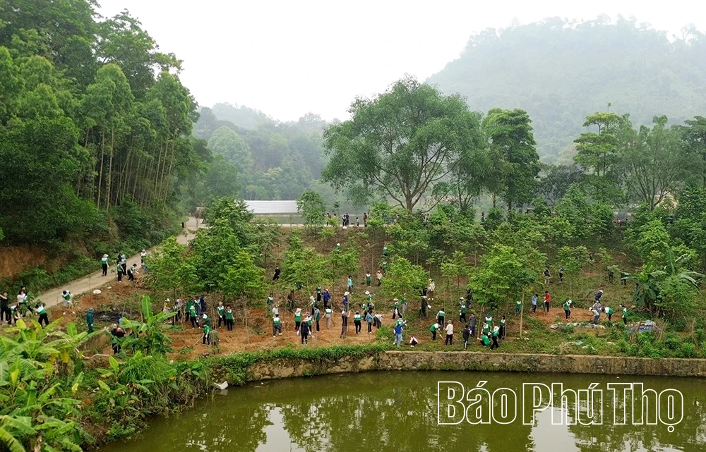 Trồng thêm 500 cây xanh trong khuôn viên Khu di tích lịch sử Đền Hùng