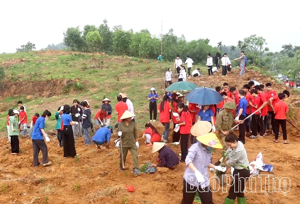 Vân Bán trồng thêm 50.000 cây xanh trên đồi trọc