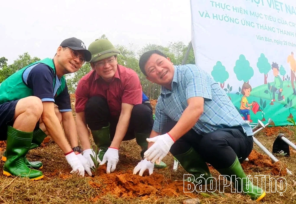 Vân Bán trồng thêm 50.000 cây xanh trên đồi trọc