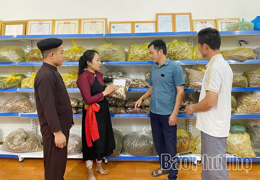 Khởi sắc Yên Lãng