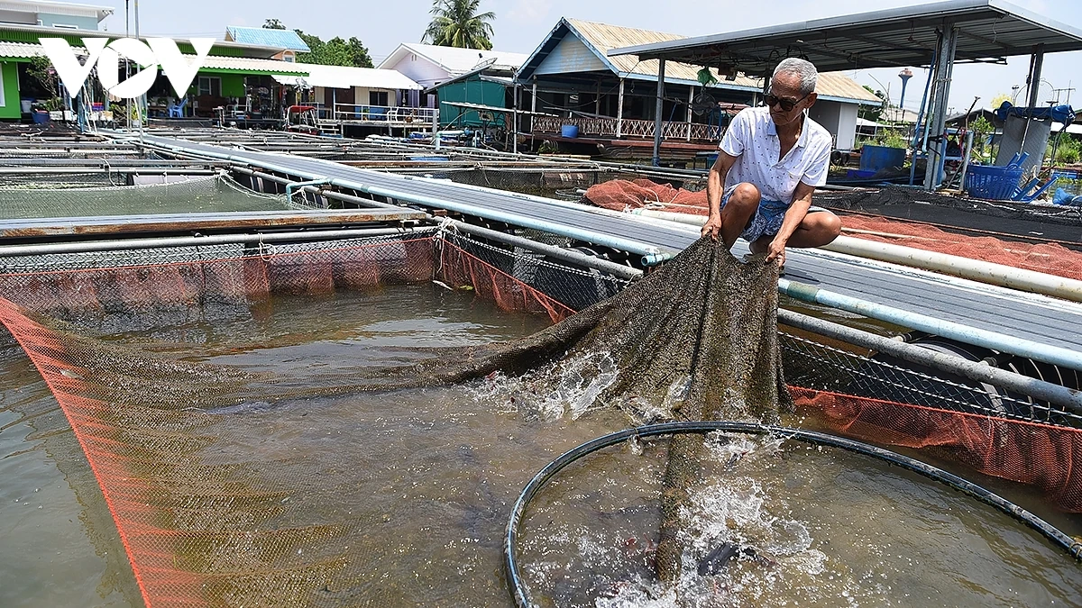 làng du lịch lin chang, điểm đến khám phá văn hóa việt hấp dẫn tại thái lan hình ảnh 6 Làng du lịch Lin Chang, điểm đến khám phá văn hóa Việt hấp dẫn tại Thái Lan