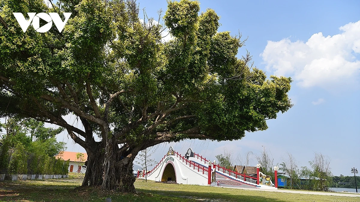 làng du lịch lin chang, điểm đến khám phá văn hóa việt hấp dẫn tại thái lan hình ảnh 11 Làng du lịch Lin Chang, điểm đến khám phá văn hóa Việt hấp dẫn tại Thái Lan