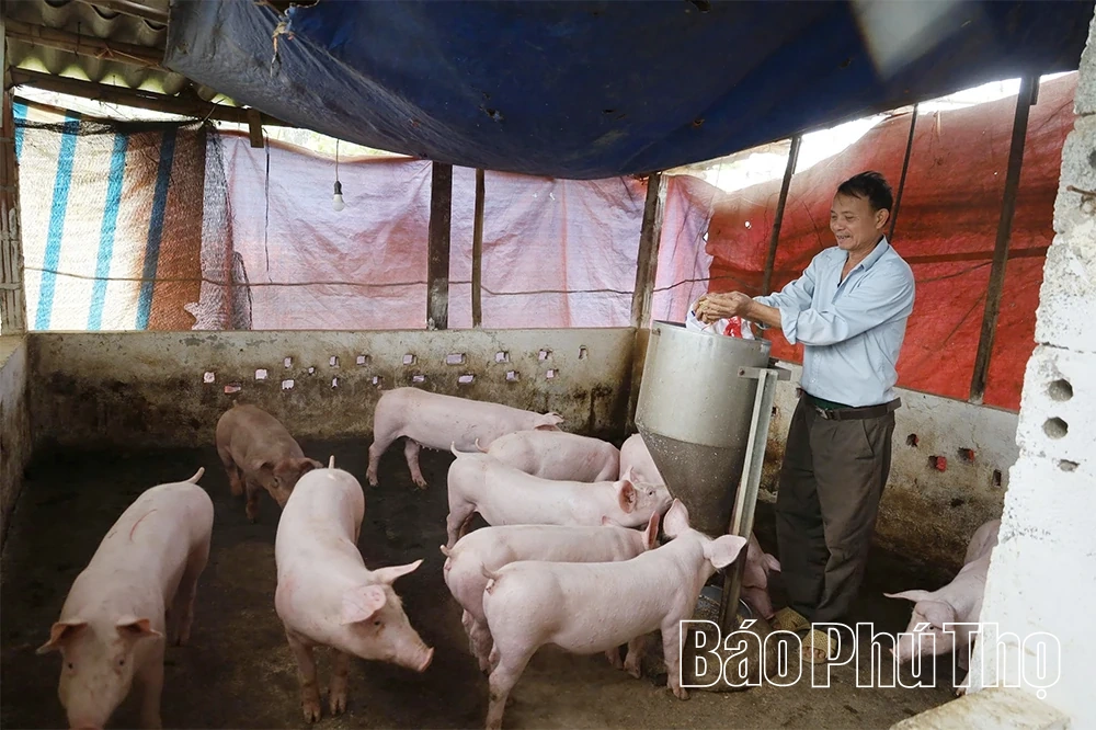 Dấu ấn nông dân xây dựng nông thôn mới ở xã Lương Sơn
