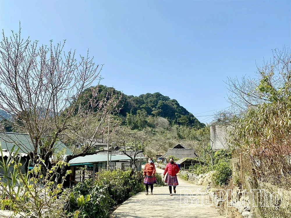 Hiệu quả từ dịch vụ hỗ trợ vùng dân tộc thiểu số