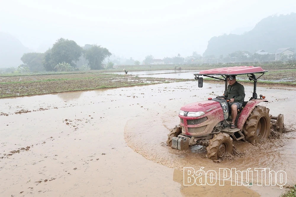 Nông dân xã Toàn Thắng thi đua phát triển kinh tế, xây dựng nông thôn mới