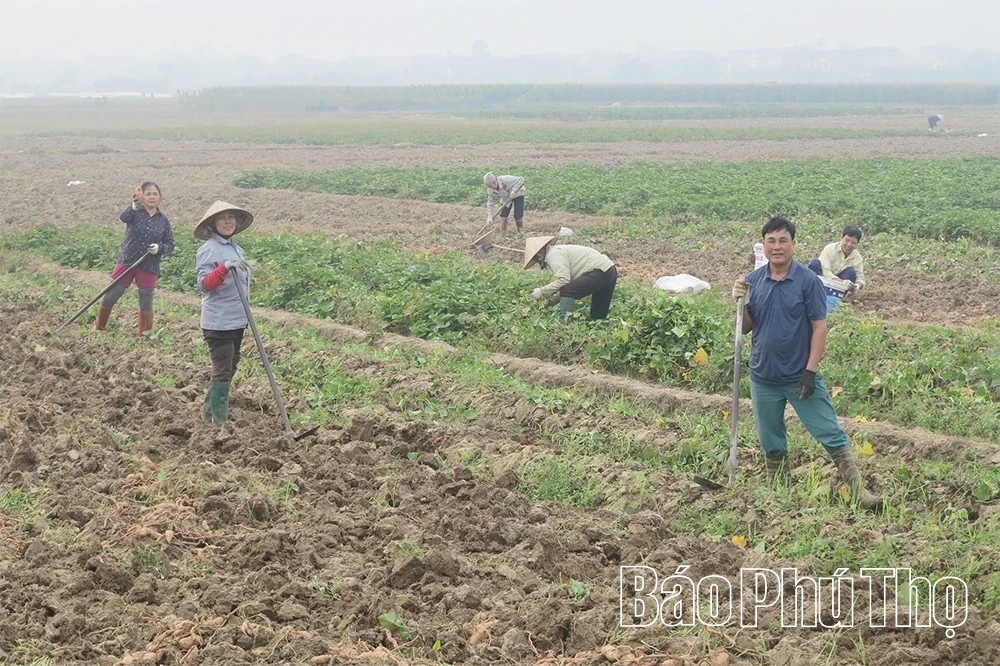 Phát huy sức mạnh khối đại đoàn kết