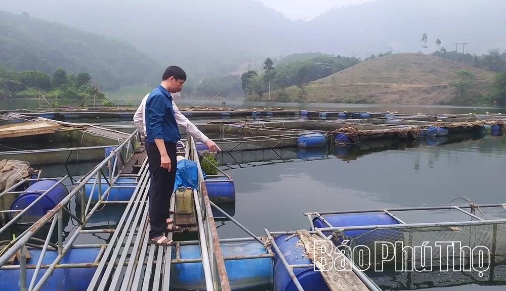Hướng tới xây dựng thương hiệu riêng cho thủy sản Phú Thọ