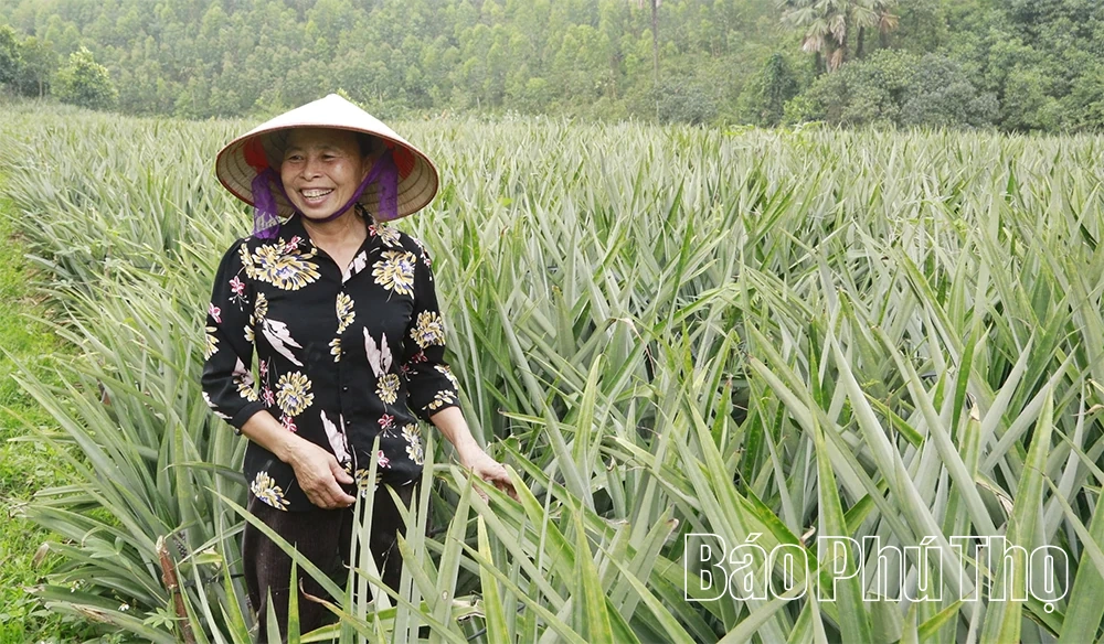 Nghị quyết mở hướng, nông dân làm giàu