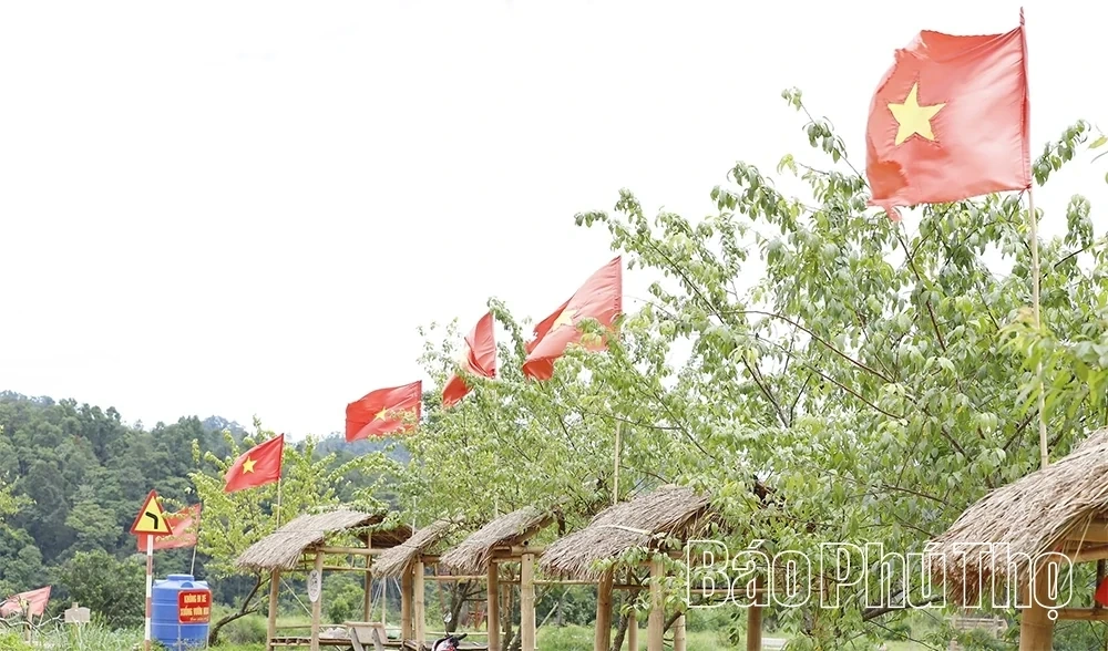 Xom Mung Vibrant in Cosmos Flower Season