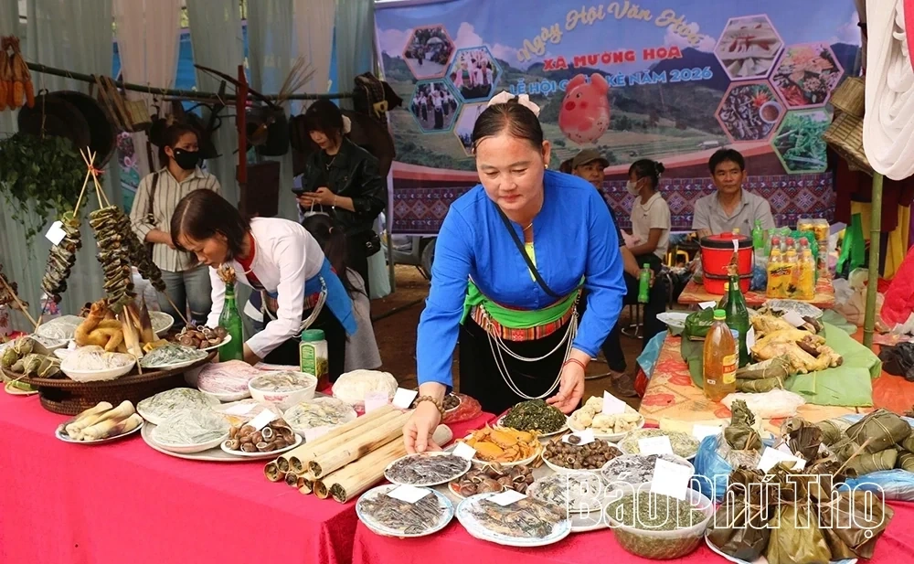 Muong Hoa Preserves and Spreads the Muong Cultural Identity