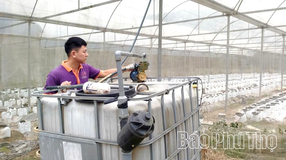 Tăng cường ứng dụng công nghệ vào sản xuất nông nghiệp