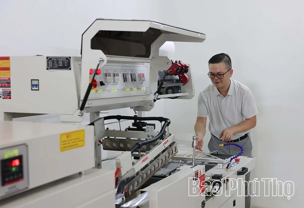 Những sản phẩm thân thiện với môi trường được làm từ chiếc mo cau
